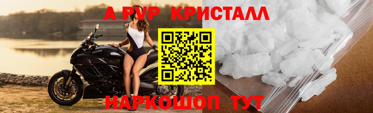 А ПВП СК Камышин