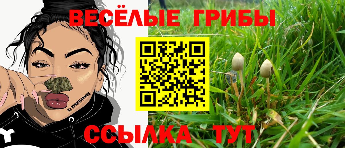 Галлюциногенные грибы ЛСД Камышин